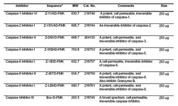MilliporeSigma&trade;&nbsp;Calbiochem&trade; Caspase Inhibitor Set II