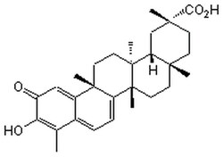 MilliporeSigma Calbiochem Celastrol, Celastrus scandens 10 mg | Buy Online | MilliporeSigma&trade; | Fisher Scientific