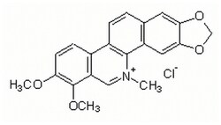 MilliporeSigma Calbiochem Chelerythrine Chloride 5 mg | Buy Online | MilliporeSigma&trade; | Fisher Scientific
