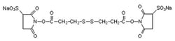MilliporeSigma™ Calbiochem™ DSP, Water-Soluble