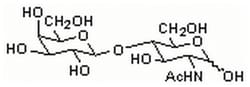 MilliporeSigma™ Calbiochem™ N-Acetyllactosamine