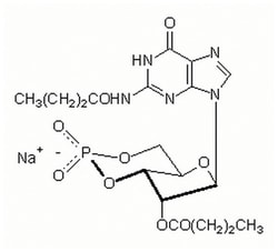 MilliporeSigma&trade;&nbsp;Calbiochem&trade; Guanosine 3',5'-cyclic Monophosphate, N<sup>2</sup>,2'-O-Dibutyryl-, Sodium Salt
