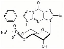 MilliporeSigma™ Calbiochem™ Guanosine 3',5'-cyclic Monophosphorothioate, β-Phenyl-1,N<sup>2</sup>-etheno-8-bromo-, Rp-Isomer, Sodium Salt