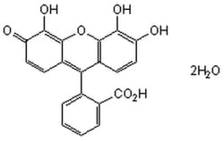 MilliporeSigma Calbiochem G Modulator II, Gallein 5 mg | Buy Online | MilliporeSigma&trade; | Fisher Scientific