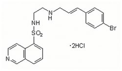 MilliporeSigma™ Calbiochem™ InSolution™ H-89, Dihydrochloride