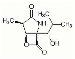MilliporeSigma&trade;&nbsp;Calbiochem&trade; clasto-Lactacystin &beta;-Lactone