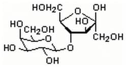 MilliporeSigma™ Calbiochem™ Lactulose
