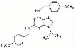 MilliporeSigma Calbiochem Myoseverin 1 mg | Buy Online | MilliporeSigma&trade; | Fisher Scientific