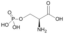 MilliporeSigma Calbiochem L-Serine-O-phosphate 1 g | Buy Online | MilliporeSigma&trade; | Fisher Scientific