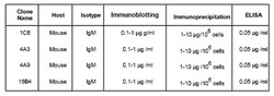 MilliporeSigma™ Calbiochem™ PhosphoDetect™ Phosphoserine Detection Kit