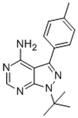 MilliporeSigma&trade;&nbsp;Calbiochem&trade; InSolution&trade; Src Inhibitor, PP1