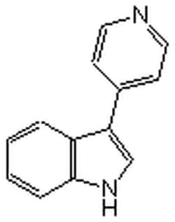 MilliporeSigma™ Calbiochem™ Rho Kinase Inhibitor III, Rockout