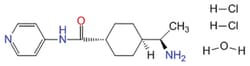 MilliporeSigma&trade;&nbsp;Calbiochem&trade; InSolution&trade; Y-27632 in DMSO