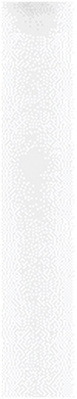 Striatin Rabbit anti-Human, Mouse, Rat, Polyclonal, MilliporeSigma 100&mu;L;