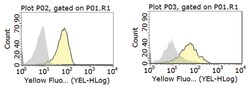 MilliporeSigma anti-CD1d Clone: WTH-1, 100&mu;g, Unlabeled:Antibodies,