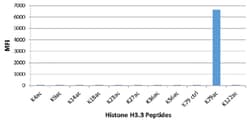 MilliporeSigma Rabbit anti-acetyl-Histone H3 (Lys79), Clone: RM156, 100&mu;g:Antibodies,