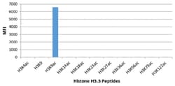 MilliporeSigma Rabbit anti-acetyl-Histone H3 (Lys9), Clone: RM161, 100&mu;g:Antibodies,