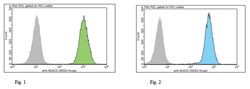 NLRC5 Rat anti-Human, Clone: 3H8, MilliporeSigma 100&mu;g; Unlabeled:Antibodies,