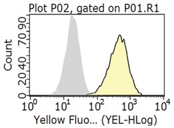 MilliporeSigma anti-CD46 Clone: 8A9.1, 100&mu;g, Unlabeled:Antibodies,