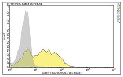 MilliporeSigma CCR2, Mouse, Unlabeled, Clone: 8C3.1, 100&mu;L; Unlabeled:Antibodies,