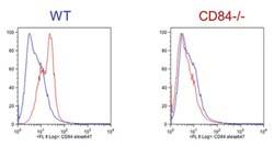 MilliporeSigma CD84/Slamf5, Rat, Unlabeled, Clone: 1D3, 100&mu;g; Unlabeled:Antibodies,