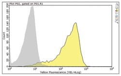 MilliporeSigma&trade;&nbsp;H-2K, Mouse, Unlabeled, Clone: Y-3,
