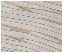 MilliporeSigma Mouse anti-Dystrophin, Clone: 2C6 (MANDYS106), 100 &mu;L | Buy Online | MilliporeSigma&trade; | Fisher Scientific