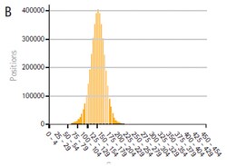 MilliporeSigma&trade;&nbsp;Novagen&trade; PureGenome&trade; Next Generation Sequencing Library A-Tail Enhancer