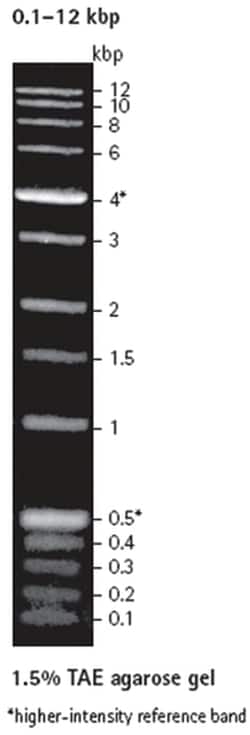 MilliporeSigma™ Novagen™ Perfect DNA™ Markers - 0.1-12 kbp