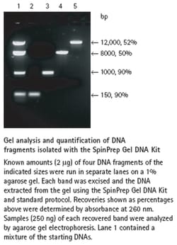 MilliporeSigma&trade;&nbsp;Novagen&trade; SpinPrep&trade;, Gel DNA Kit