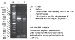 MilliporeSigma™ Novagen™ NovaTaq™ Hot Start DNA Polymerase