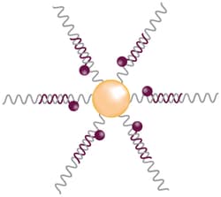 MilliporeSigma™ SmartFlare™ NODAL, Human, Cyanine5 RNA Detection Probe