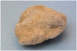 American Educational Products Individual Rock Specimen: Pumice, Light Gray