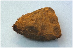 American Educational Products Individual Mineral Specimen: Magnetite, Lodestone, Magnetic