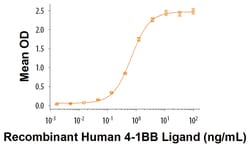 R&D Systems&trade;&nbsp;Recombinant Cynomolgus 4-1BB/TNFRSF9 Fc Chimera Protein
