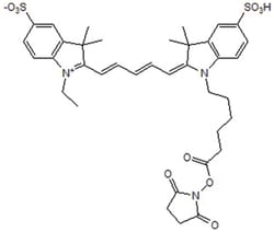 Tocris Bioscience Cyanine 5, SE 10 mg | Buy Online | Tocris Bioscience&trade; | Fisher Scientific