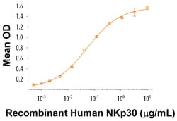 R&D Systems&trade;&nbsp;Recombinant Human B7-H6 His-tag Protein