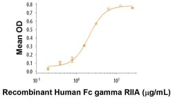 R D Systems Recombinant Rat C-Reactive Protein/CRP Protein 200 &mu;g | Buy Online | R&amp;D Systems&trade; | Fisher Scientific