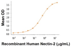 R&D Systems&trade;&nbsp;Recombinant Human DNAM-1/CD226 His-tag Protein