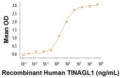 R&D Systems&trade;&nbsp;Recombinant Human TINAGL1 Protein