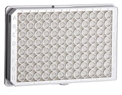 Greiner Bio-One CELLCOAT™ 96-well, Poly-D Lysine-Treated, Flat-Bottom Microplate