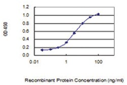 anti-RRP15, Clone: 1F6, Abnova 100 &mu;g | Buy Online | Abnova Corporation | Fisher Scientific