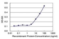 anti-MOCOS, Clone: 2E8., Abnova 100&mu;g, Unlabeled:Antibodies, Monoclonal