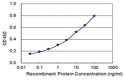 anti-SHCBP1, Clone: 1G8, Abnova 100 &mu;g | Buy Online | Abnova Corporation | Fisher Scientific