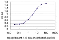 RAS guanyl releasing protein 4, Mouse, Clone: 6D3, Abnova 100&mu;g; Unlabeled:Antibodies,