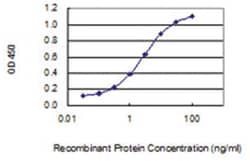 HYKK, Mouse, Clone: 4F2, Abnova 100&mu;g; Unlabeled:Antibodies, Monoclonal