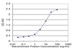 WD repeat domain 36, Mouse, Clone: 1D6, Abnova 100&mu;g; Unlabeled:Antibodies,