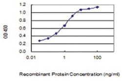 BRI3BP, Mouse, Clone: 3H1, Abnova 100&mu;g; Unlabeled:Antibodies, Monoclonal