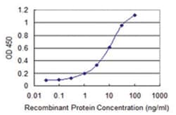 CNKSR3, Mouse, Clone: 4A11, Abnova&trade;