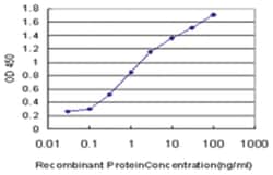 pancreas specific transcription factor, 1a, Mouse, Clone: 1A2, Abnova 100&mu;g;